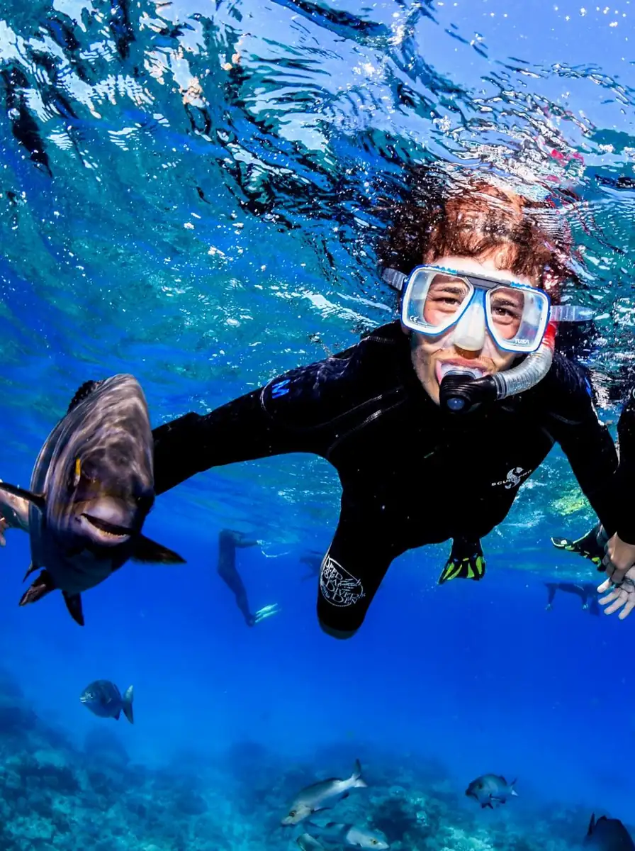 5 Apps Every 2026 Traveller Should Use While Snorkelling