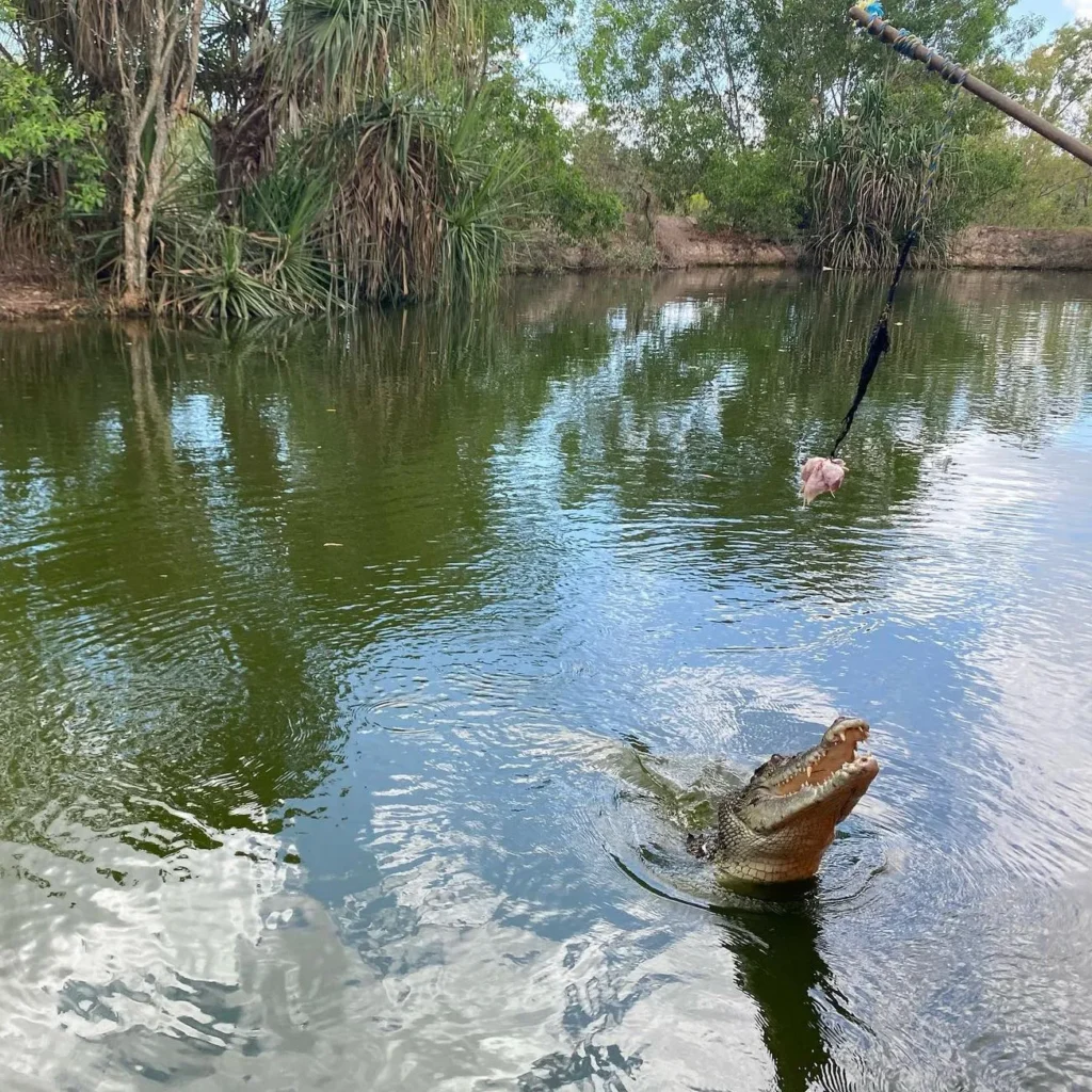 Crocodylus Park