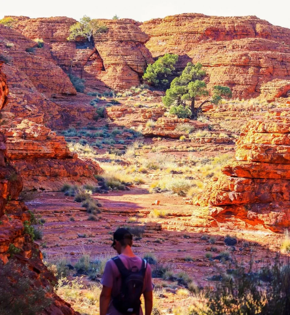 Cultural and Historical Importance, The Kings Canyon Rim Walk