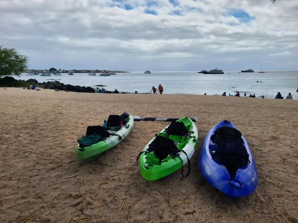 Darwin Harbour, kayaking