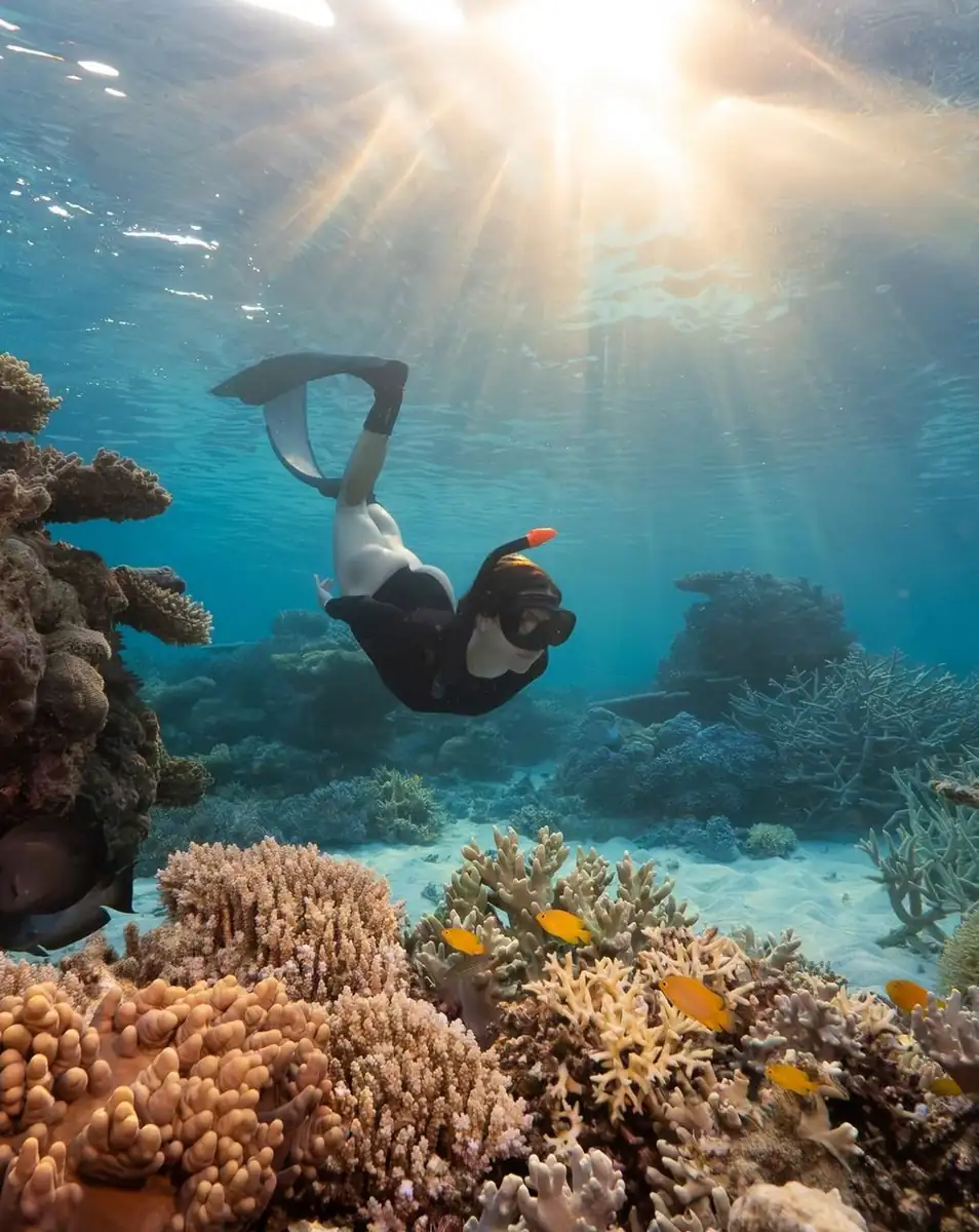 Voyages Dax Tourisme | Eye on the Reef: 5 Apps Every 2026 Traveller Should Use While Snorkelling Get To Know Your Sea Creatures Without Guessing
