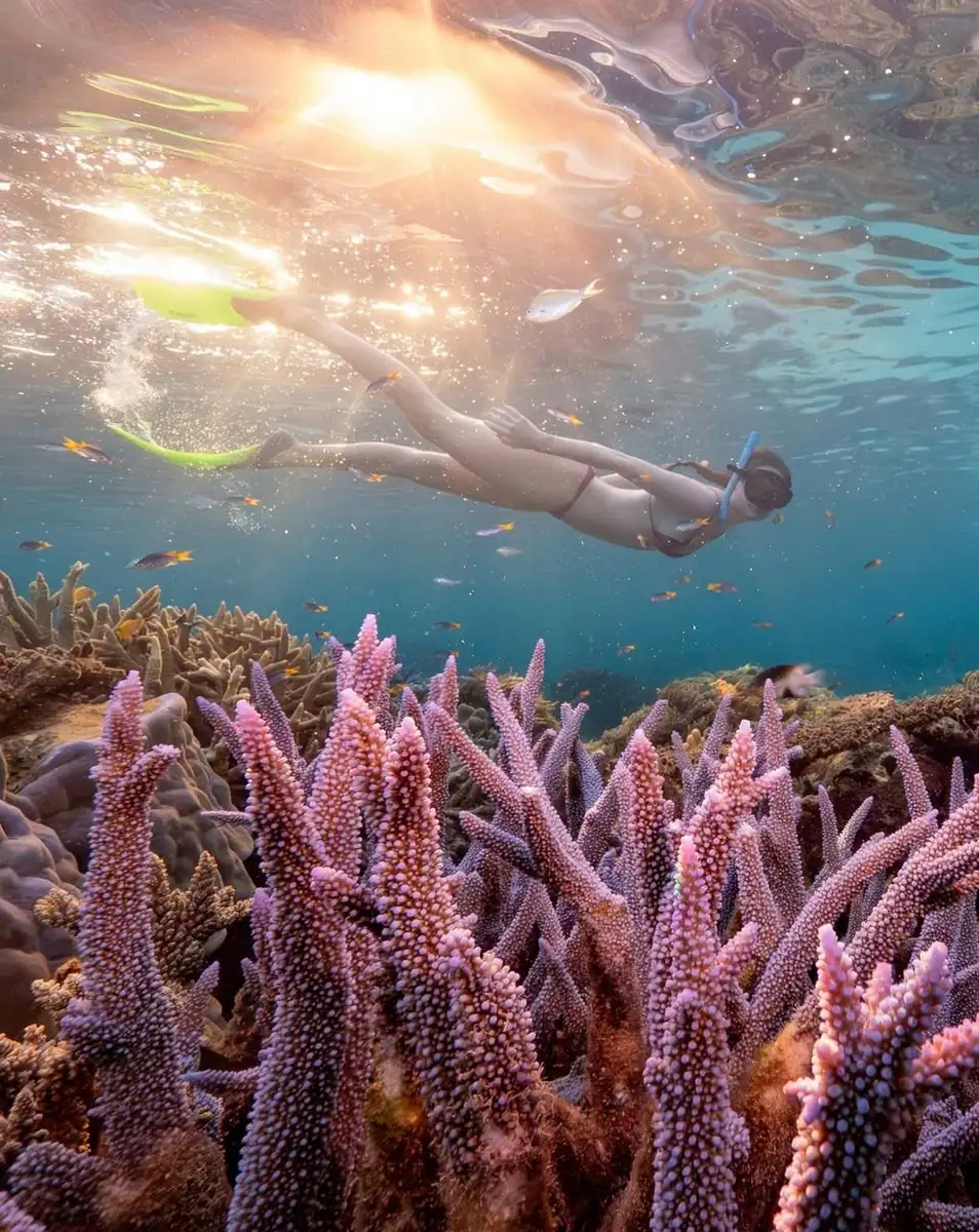 Voyages Dax Tourisme | Eye on the Reef: 5 Apps Every 2026 Traveller Should Use While Snorkelling Help Save the Reef While You’re There Snorkelling