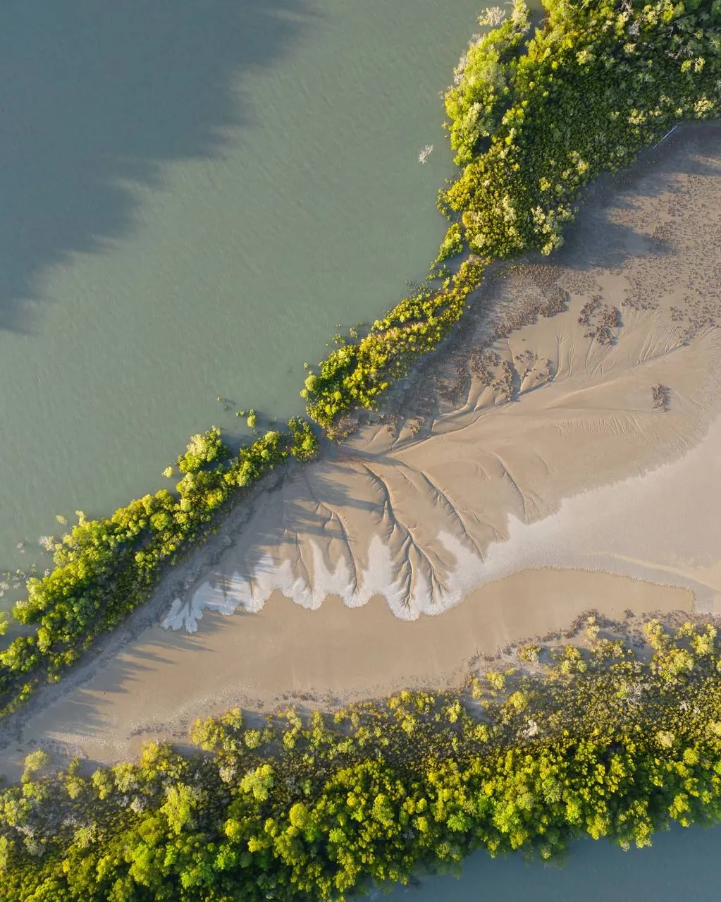 How Seasonality Affects Your Wildlife Experience