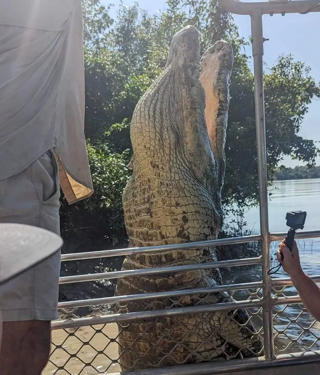 Jumping Crocodile Tour