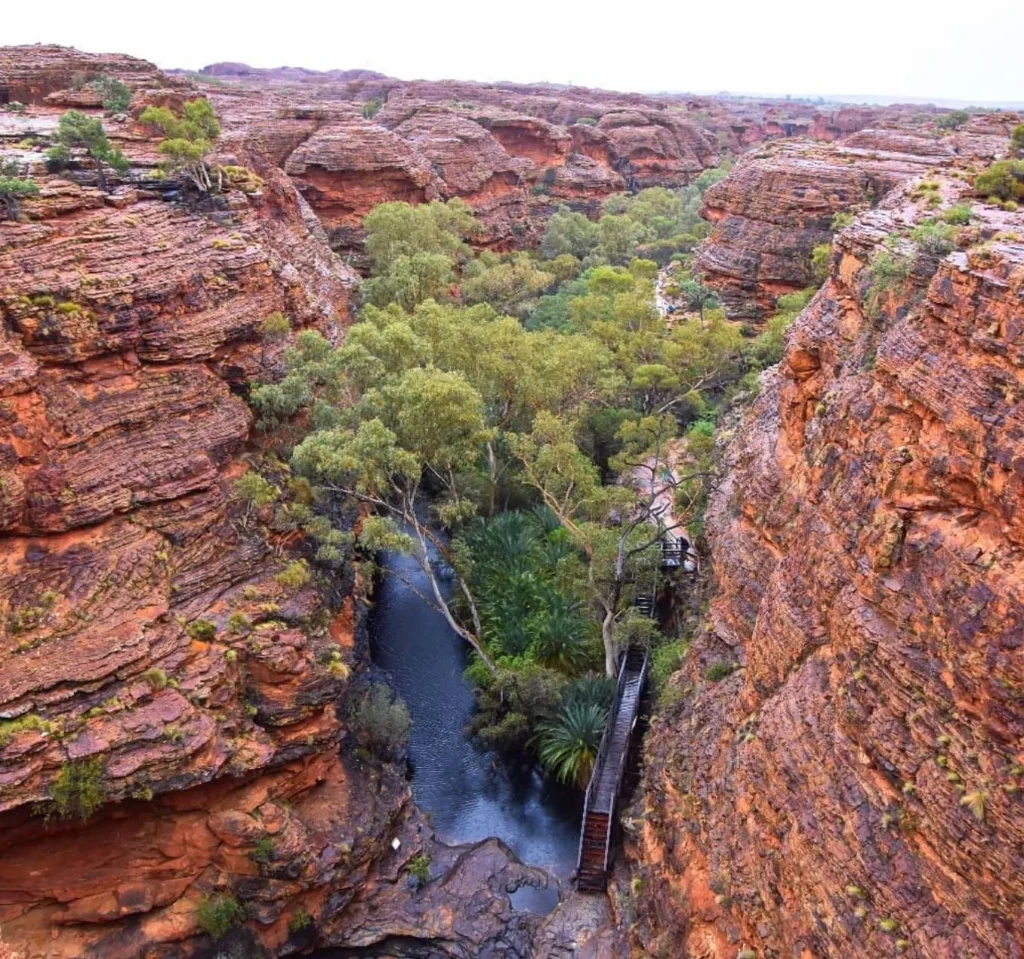 Scenic Flights, The Kings Canyon Rim Walk