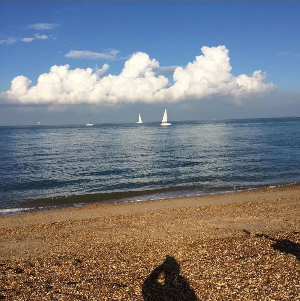 Visitor Safety, Cowes Beach and Smiths Beach