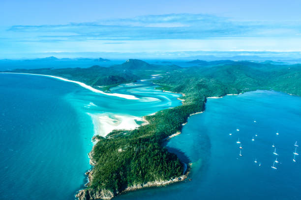 Voyages Dax Tourisme|Safe Swimming Guide for Airlie Beach: Stinger Season & Beyond